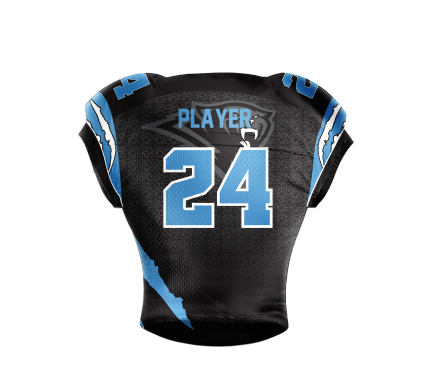 Panthers Football Jersey - additional view